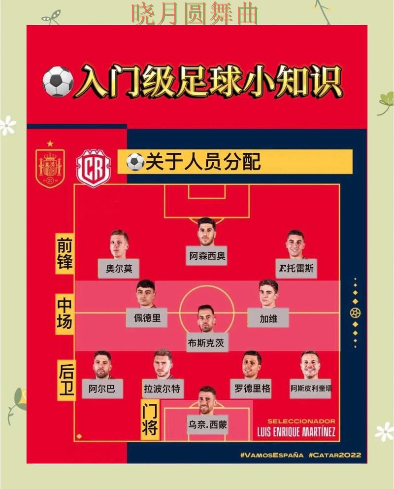 世界杯买球登录玩法技巧全面分析实用指南