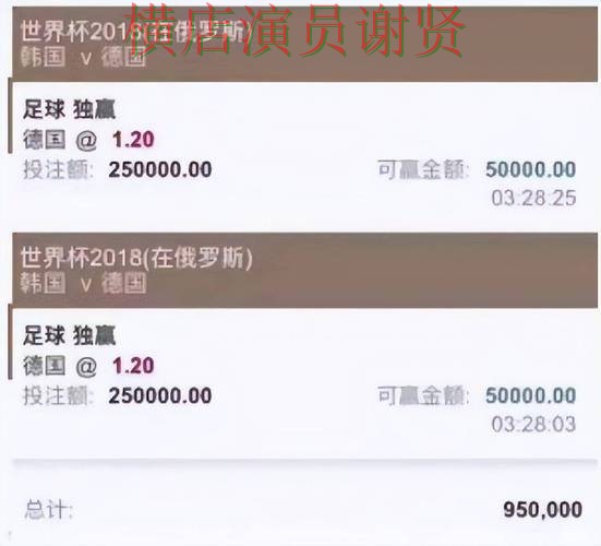 世界杯买球平台整理合集：覆盖数据分析与入口方式 - 世界杯数据